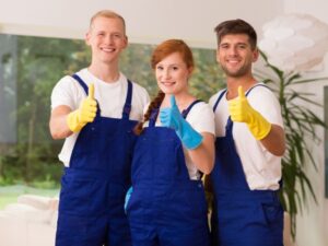 How to Choose and Use High-Quality Gun Cleaners